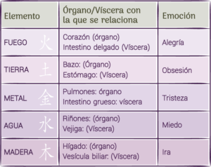 Los 5 Elementos