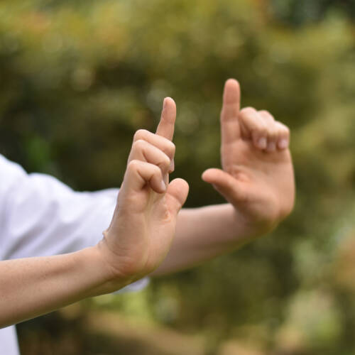 Qi gong